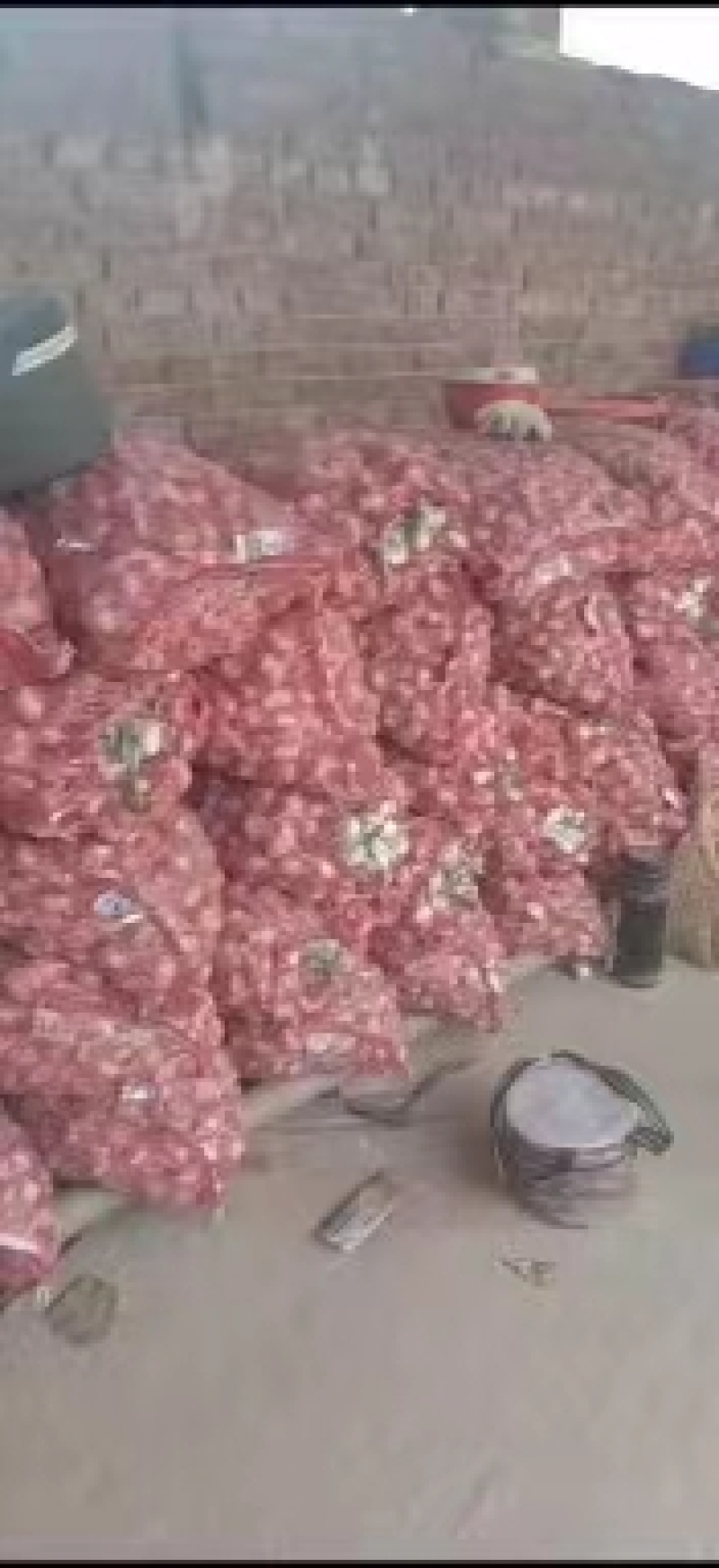 精品大蒜紫皮蒜产地现货，品质保障，量大优惠，可视频选货