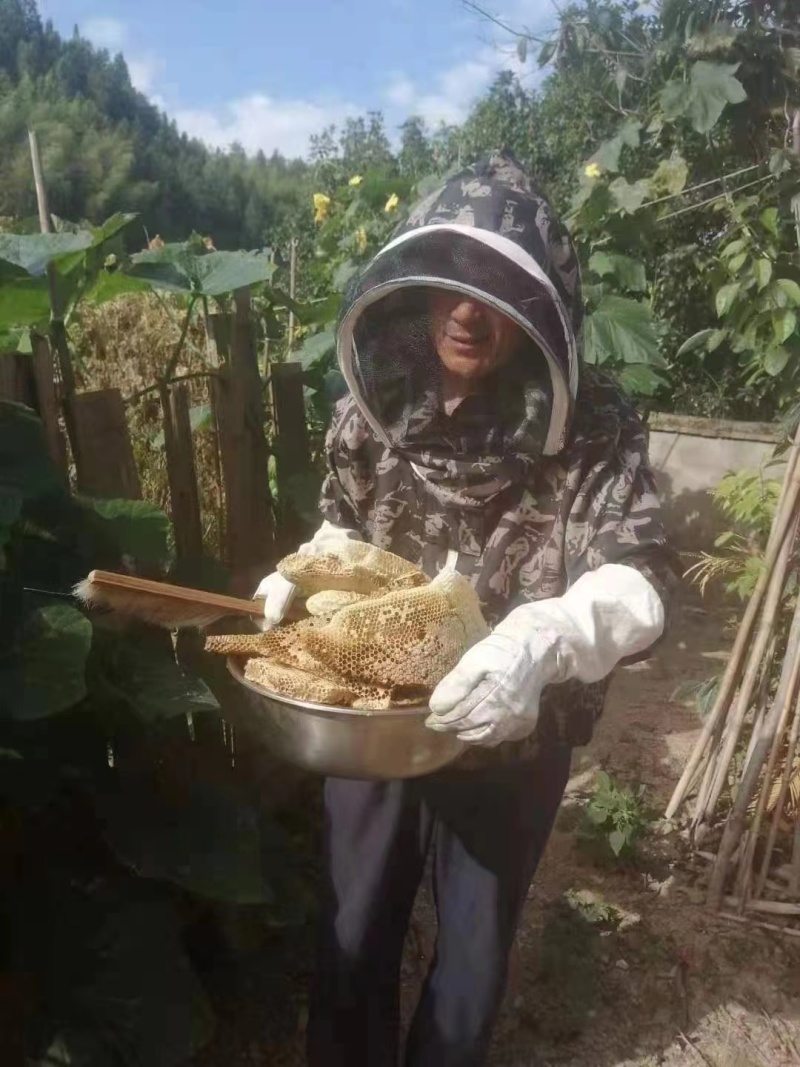 【热卖中】高海拔山区优质百花蜜波美度40，货源充足