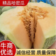 福建精品口口脆大批量上市啦！欢迎客户前来采购