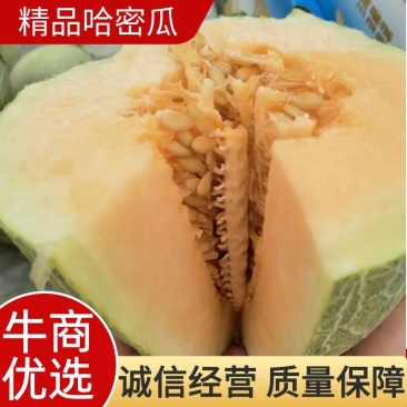 福建精品口口脆大批量上市啦！欢迎客户前来采购