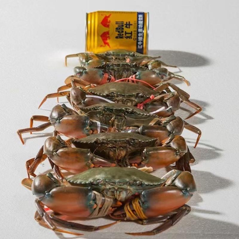 螃蟹130-270G，缅甸蟹孟加拉膏蟹青蟹肉蟹冬蟹批发