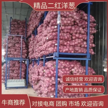 精品洋葱冷库洋葱二红洋葱产地直发品质保证