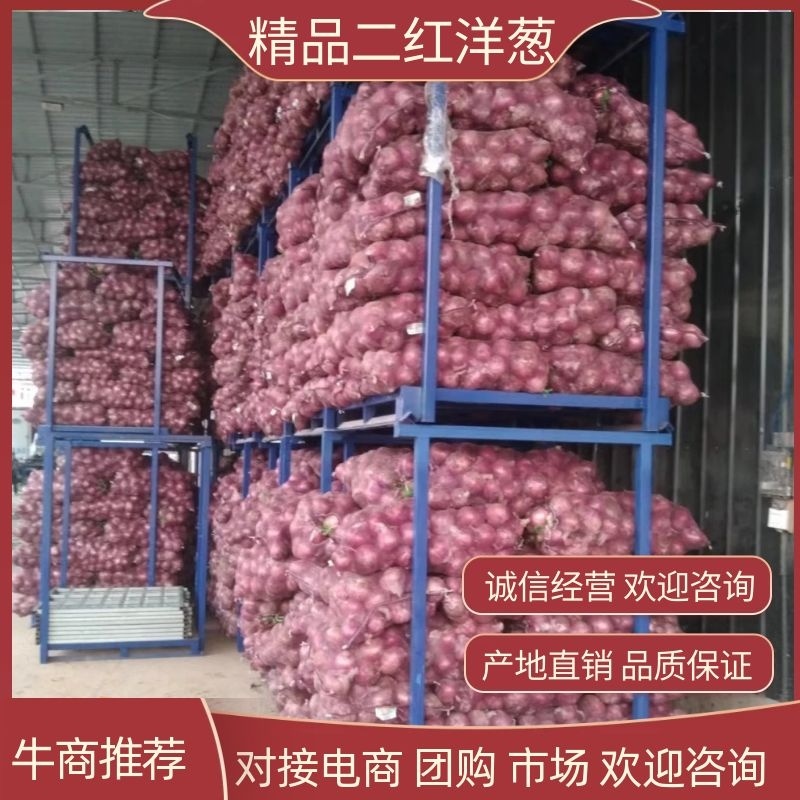 精品洋葱冷库洋葱二红洋葱产地直发品质保证