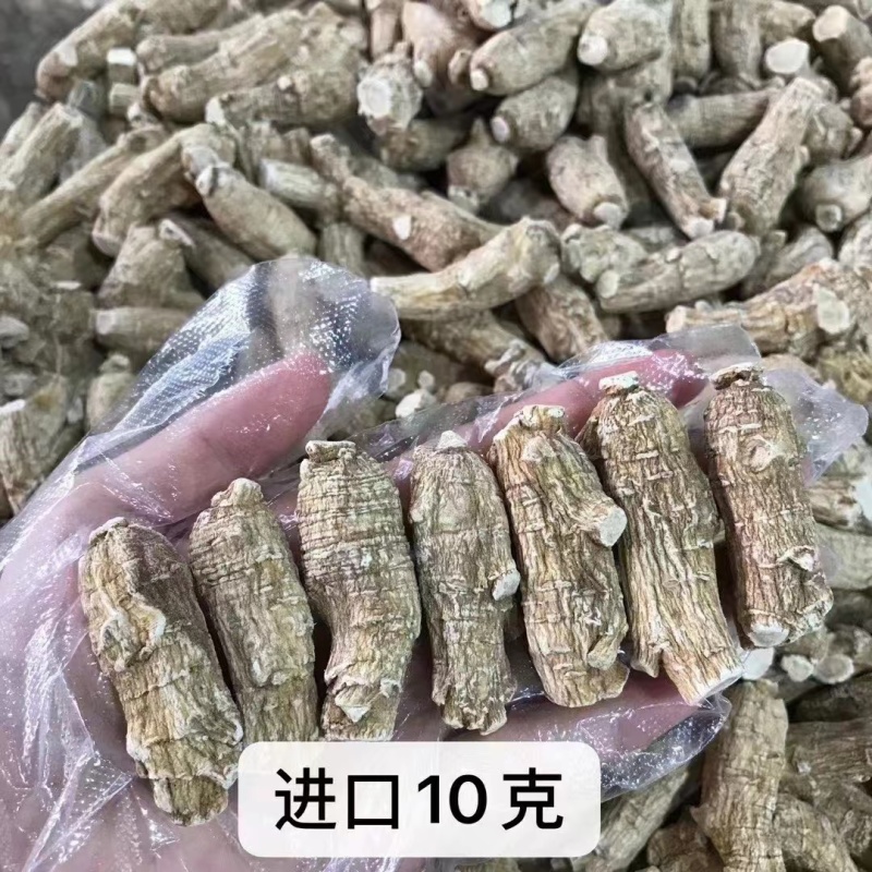 【精品货源】浙江西洋参货源充足保质保量来电优惠