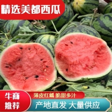 【美都西瓜】薄皮红壤，开封西瓜，产地直发，大量供应