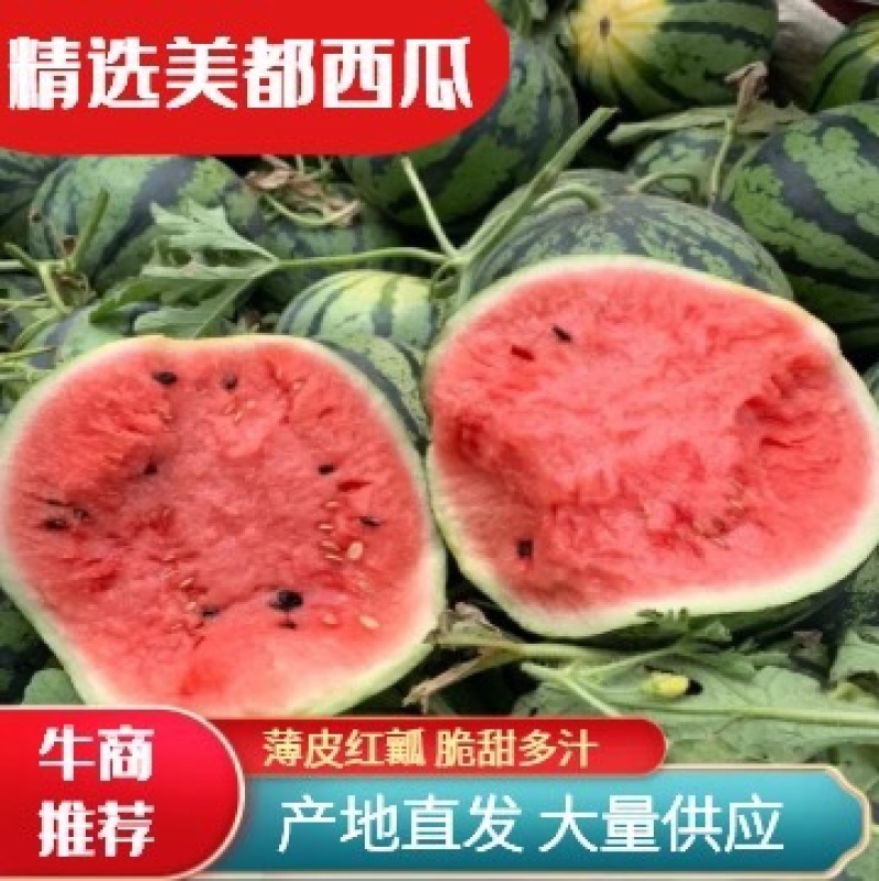 【美都西瓜】薄皮红壤，开封西瓜，产地直发，大量供应