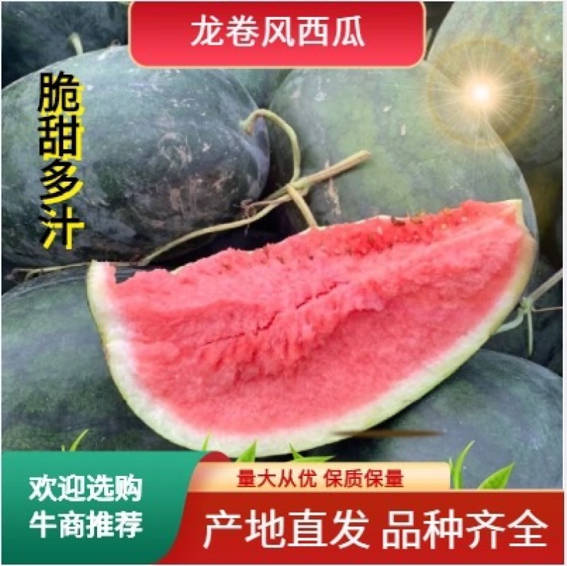【推荐产品】龙卷风西瓜开封龙卷风西瓜产地直发量大从优