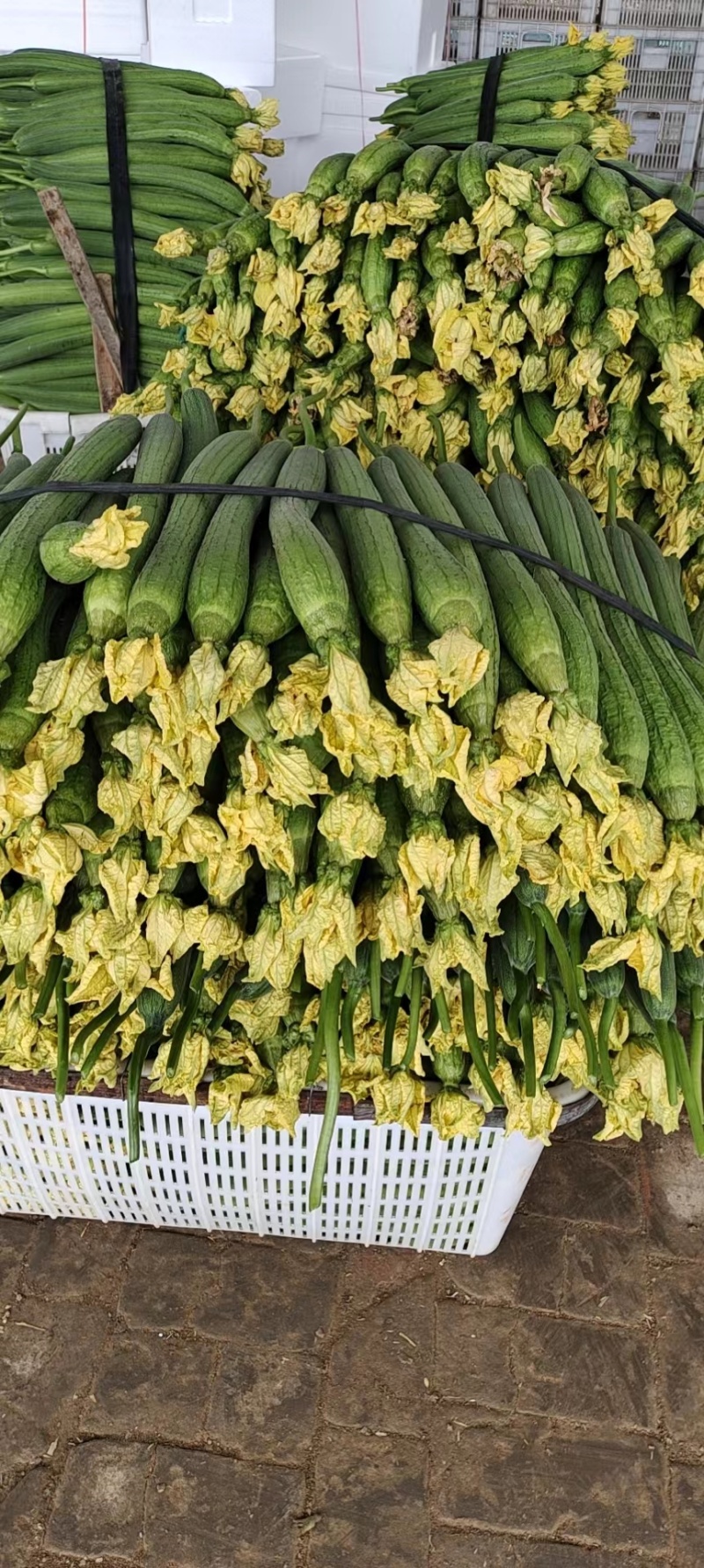 【大量供货】濮阳精品鲜花丝瓜、价格便宜、大量有货、全国直发