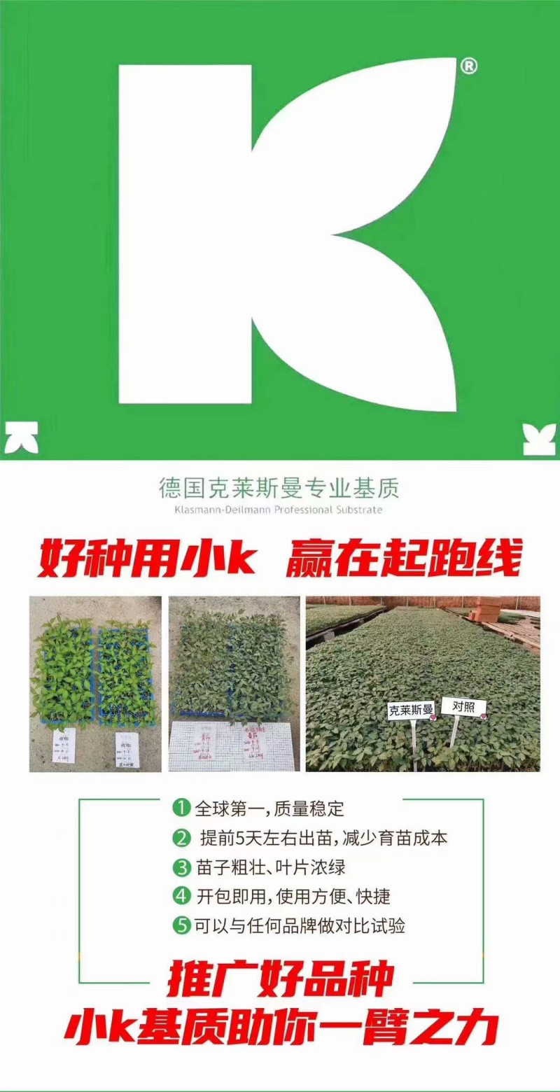 育苗基质大田用基质土营养土质量保证价优透气好番茄苗