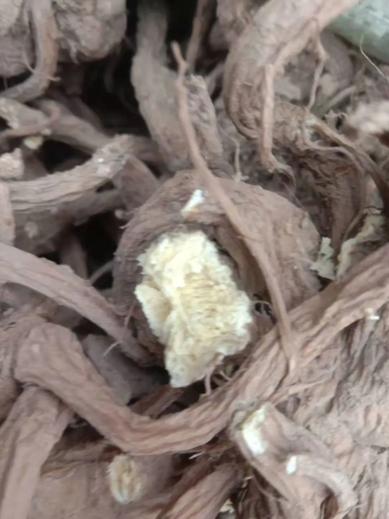 出售肉独活，统货大货供应，产地直发，量大价优，欢迎进店