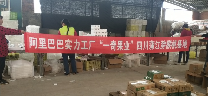 河南胡萝卜代发3/5/9斤农家自种新鲜生吃红萝卜蔬菜