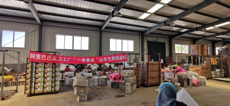 甘肃民勤人参果代发3/5斤新鲜应季沙漠仙果皮薄多汁