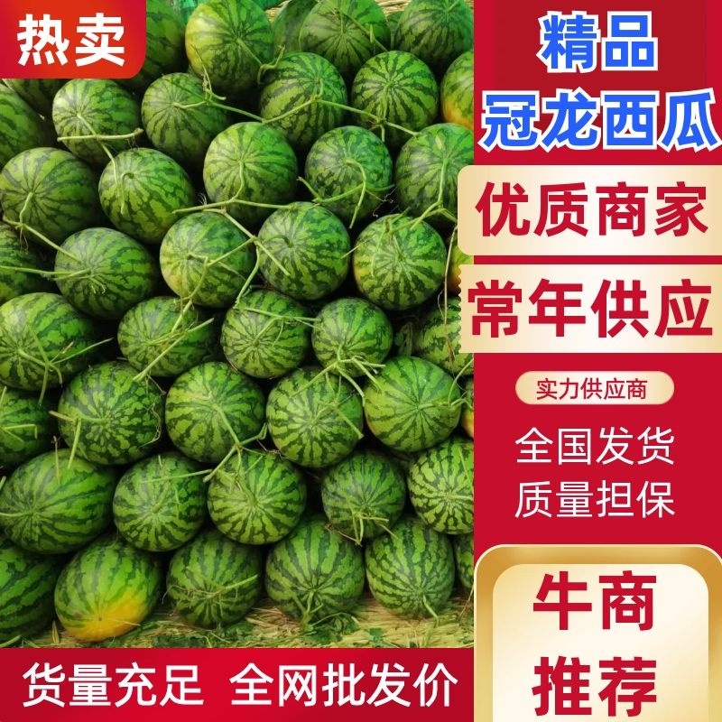 许昌精品西瓜冠龙西瓜，欢迎全国客商前来咨询订购！