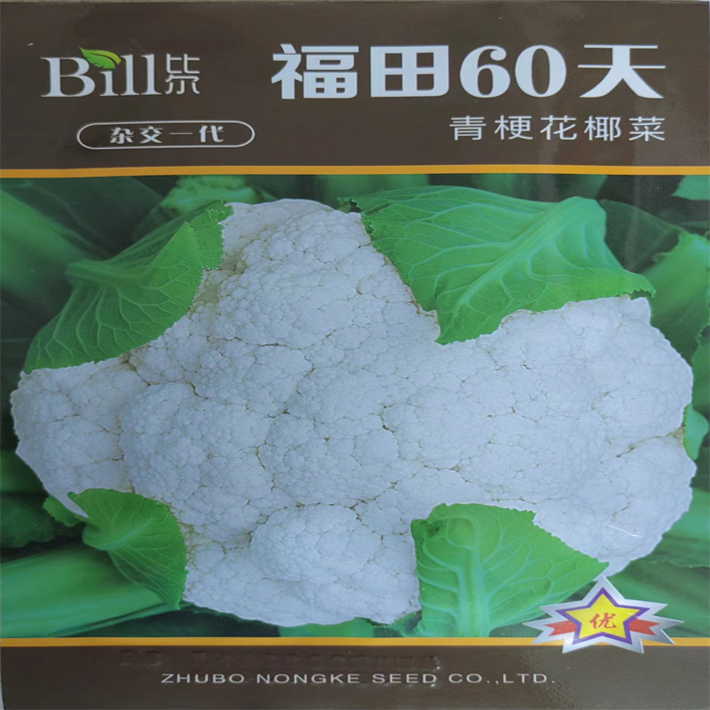 青梗松花菜种子种籽有机花菜种子春季孑四季福田60/70天