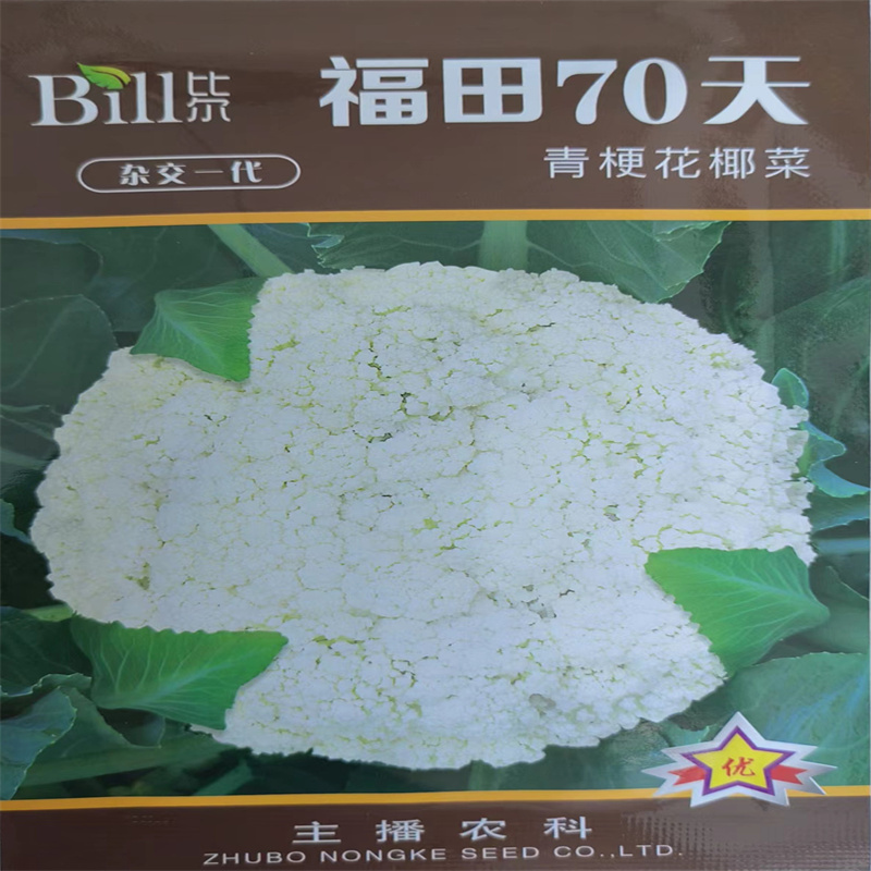 青梗松花菜种子种籽有机花菜种子春季孑四季福田60/70天