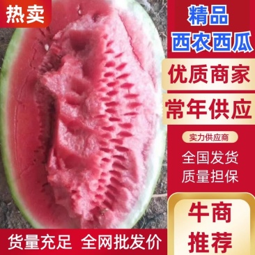 山西西农西瓜，西农八号，一手货源，质量保证，欢迎进店联系