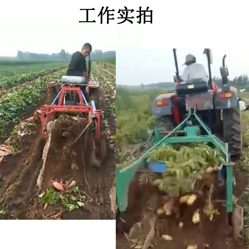 四轮拖拉机带红薯收获机刨挖土豆马铃薯机子红薯收割机