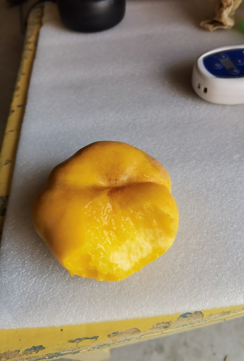 精品桃，油蟠桃，一手货源产地直销诚信经营品质保证