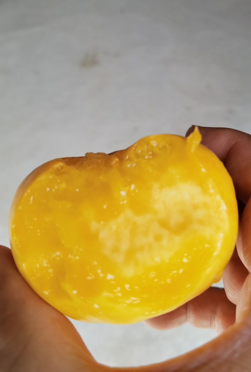 精品桃，油蟠桃，一手货源产地直销诚信经营品质保证