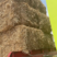 【代发全国】麦草压块原草品质保证质优价廉可以视频看
