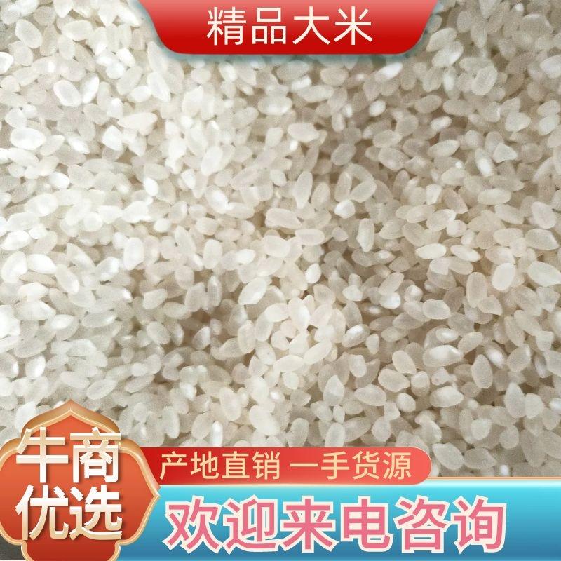 珍珠米大米精品大米货源稳定质量保证量大从优各类大米有货