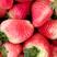 【现摘现发】天仙醉草莓新鲜现摘安徽草莓产地批发