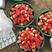 【产地直发】安徽阜阳新鲜奶油草莓当季现摘精选草莓全国批发