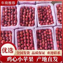 辽宁省西丰县双榆鸡心小苹果基地，大量上市