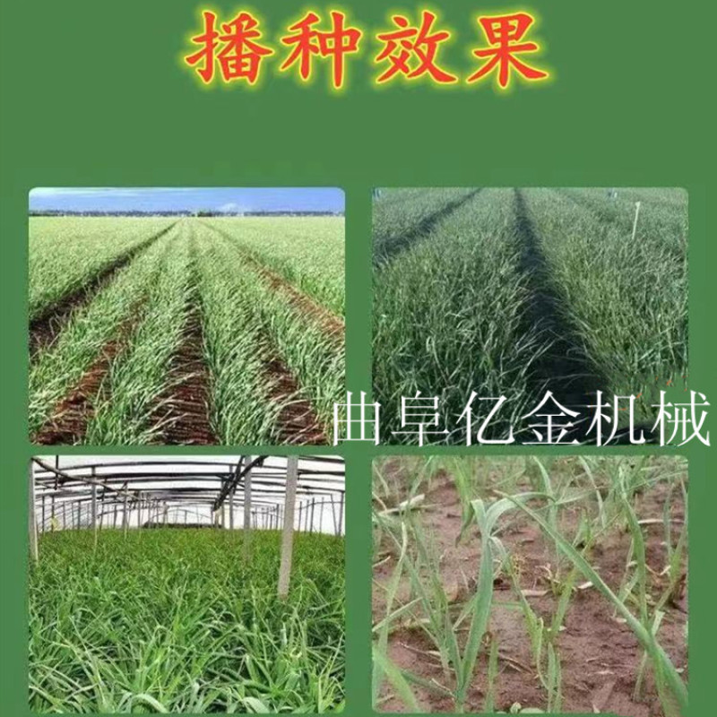 大蒜播种机农用大蒜种植机器拖拉悬挂多行精播大蒜机种蒜机厂