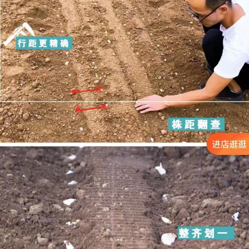 大蒜播种机农用大蒜种植机器拖拉悬挂多行精播大蒜机种蒜机厂