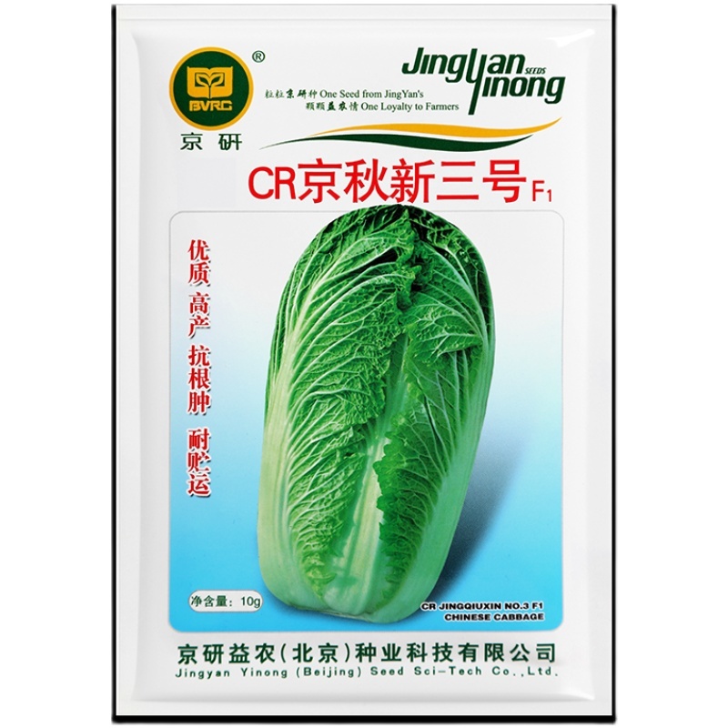 CR京秋新三号白菜种子秋播中晚熟抗根肿病大白菜种子农科院