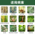 氯溴异氰尿酸50%溃疡病穿孔病青枯病流胶病根腐病杀菌剂