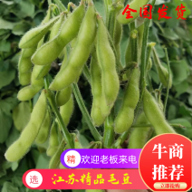 【精选】邳州新鲜翠绿宝毛豆基地直供现摘现发全国批发