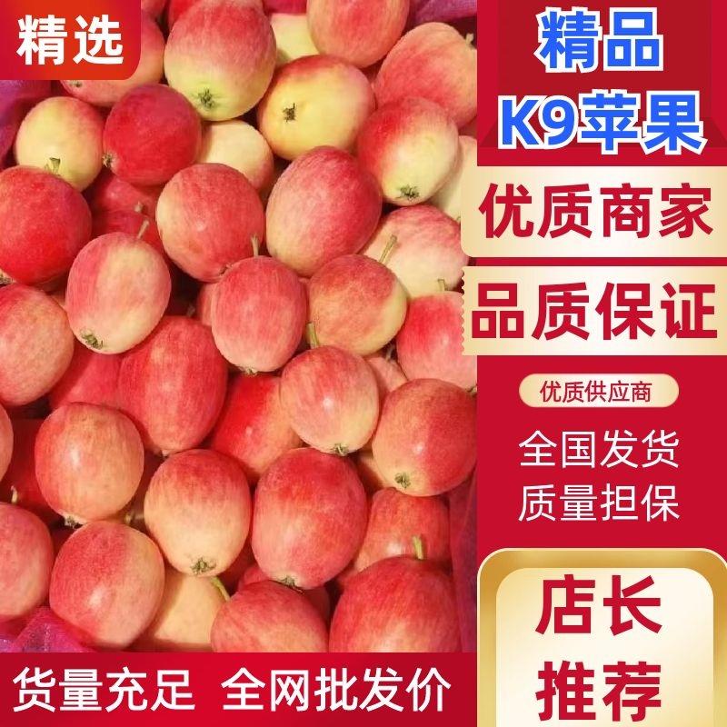 K9小苹果东北辽宁省西丰主产区双鱼小苹果