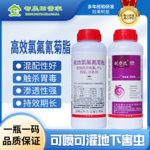 剑力达5%高效氯氟氰菊酯蚜虫榛实象甲杀虫剂