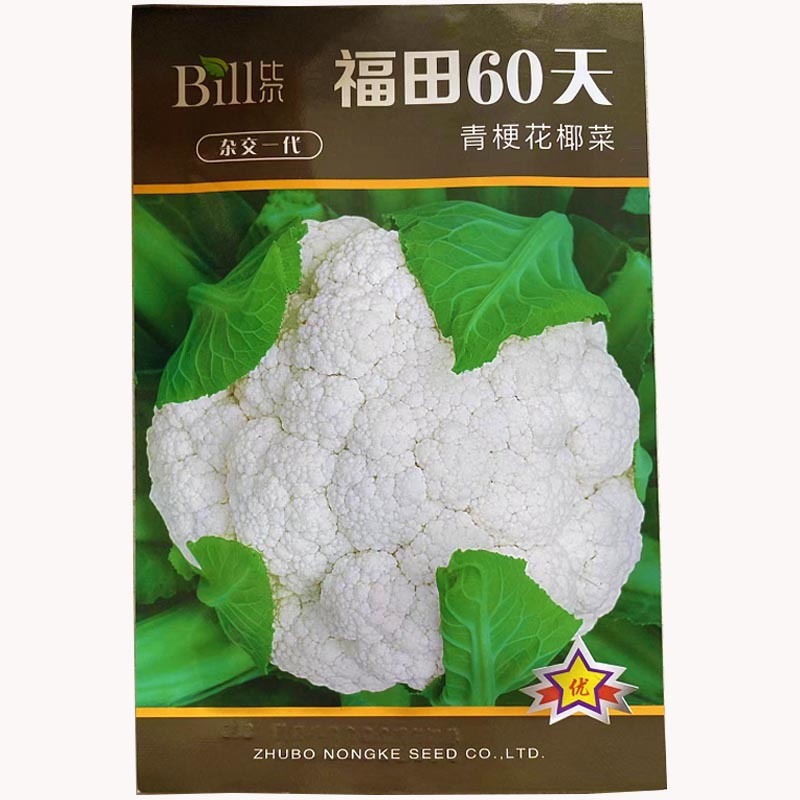 青梗花椰菜种子菜花籽耐热高产60天抗病强