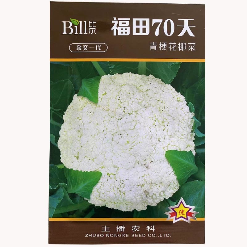 青梗花椰菜种子菜花种子抗病强花球松大南北方种植