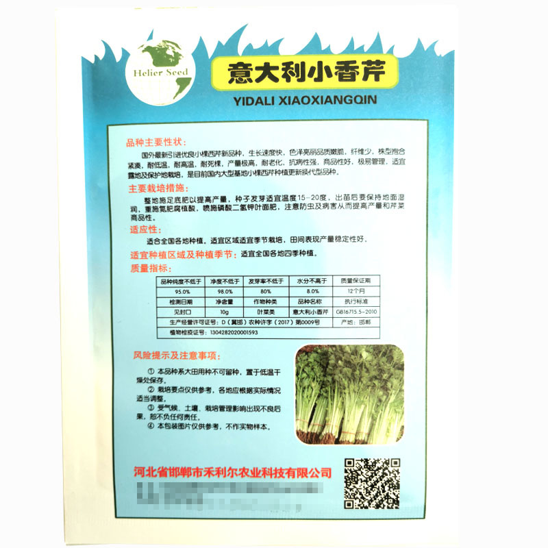 意大利香芹菜种子生长速度快纤维少易管理四季种植