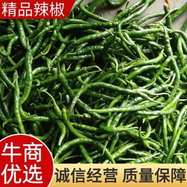 辣椒，精品辣椒，产地直发，质量保证，欢迎进店联系