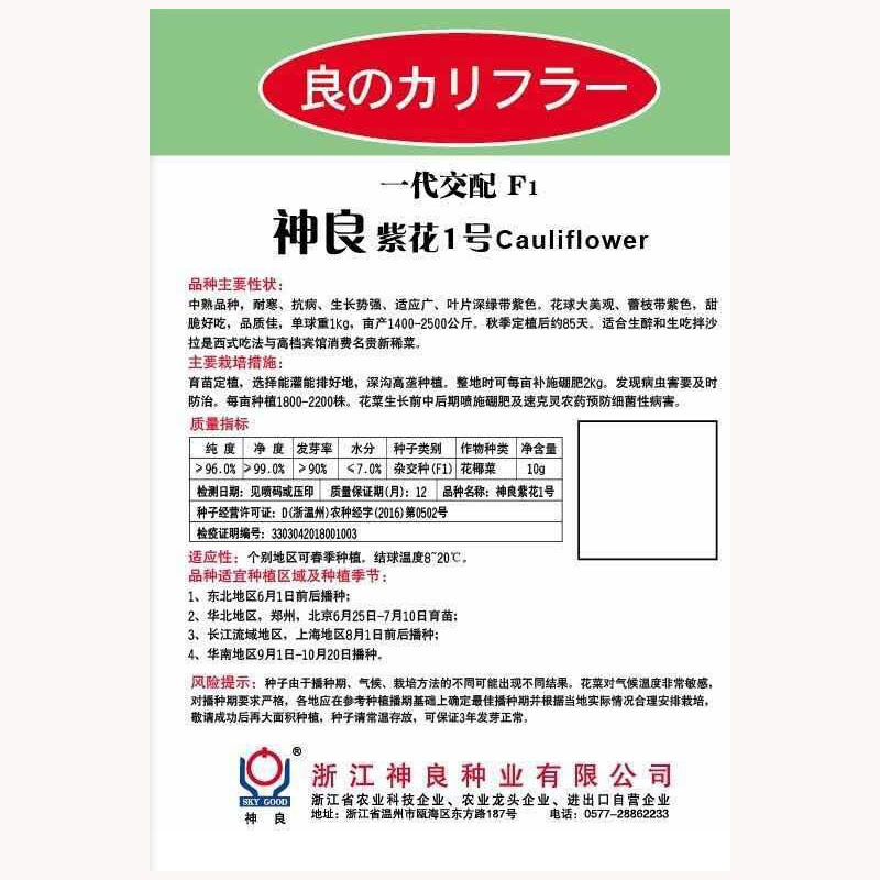 紫花菜种子早熟花椰菜大田专用紫花特色蔬菜春秋种植耐寒