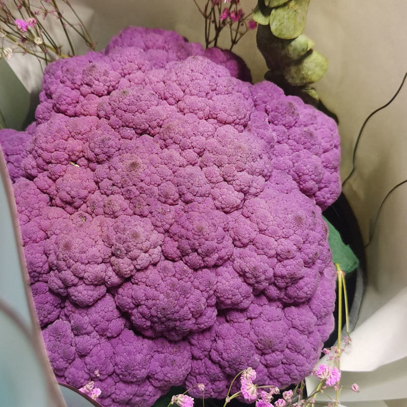 紫花菜种子早熟花椰菜大田专用紫花特色蔬菜春秋种植耐寒