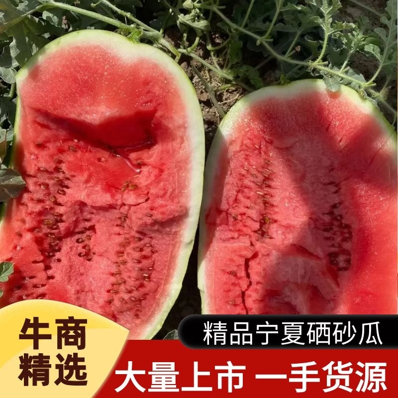 品质好，西瓜甜，价格实惠