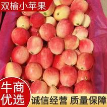 辽宁省，西丰双榆k9小苹果基地，大量上市