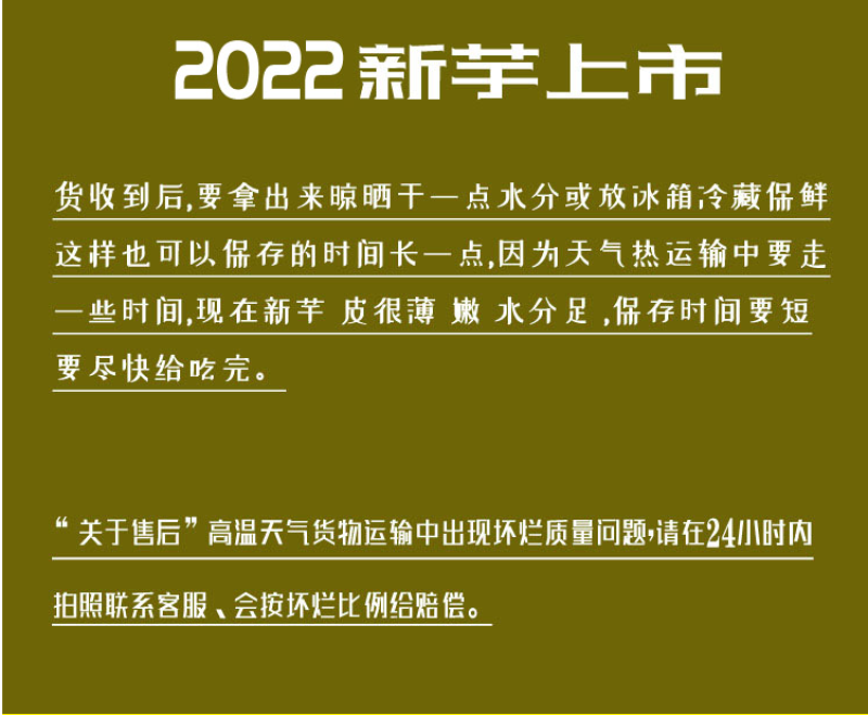 精品红芽芋，个大味鲜香味浓郁甘甜可口一件代发。