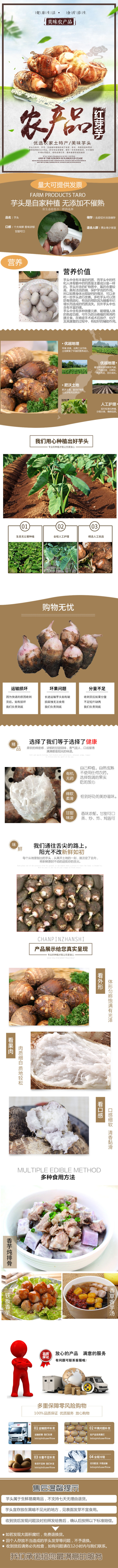 精品红芽芋，个大味鲜香味浓郁甘甜可口一件代发。