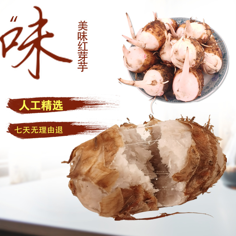 精品红芽芋，个大味鲜香味浓郁甘甜可口一件代发。