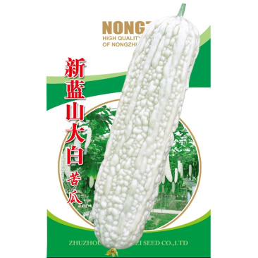 苦瓜种子蓝山大白玉长苦瓜产量高抗性强肉厚高产