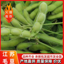 江苏徐州毛豆翠绿宝开心绿绿宝石毛豆质优价廉对接市场超市