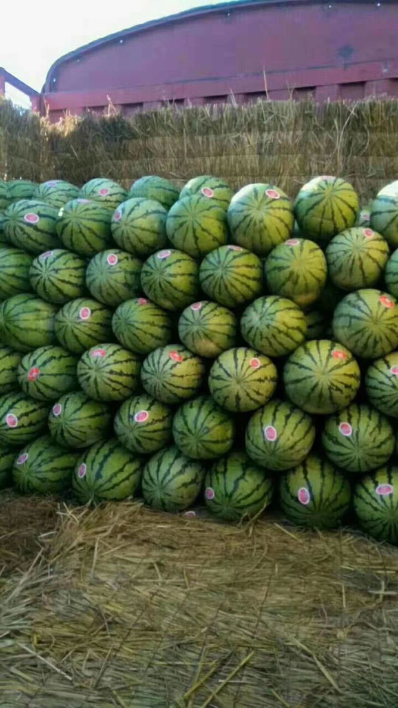 【热销】硒砂瓜精品甘肃西瓜保质保量产地直销代发全国