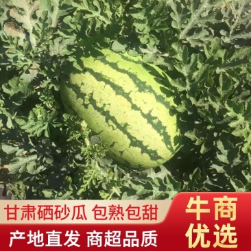 【热销】硒砂瓜精品甘肃西瓜保质保量产地直销代发全国